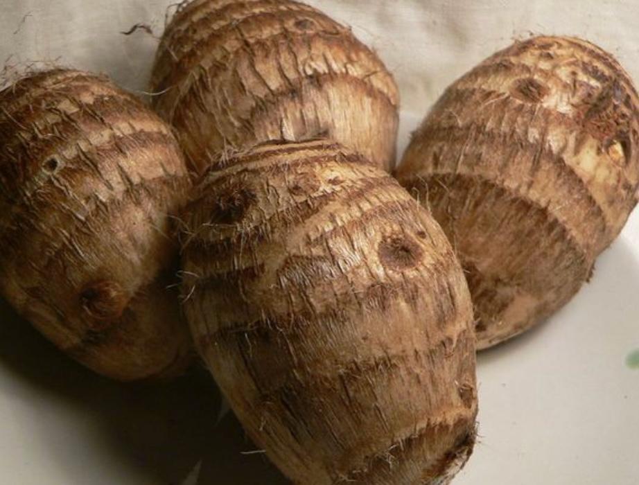 Arum Root