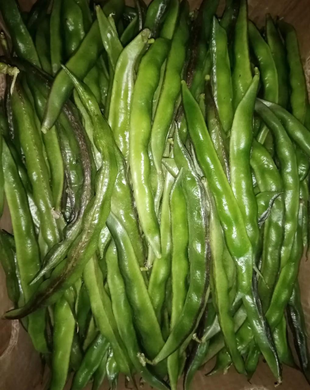 Country Beans
