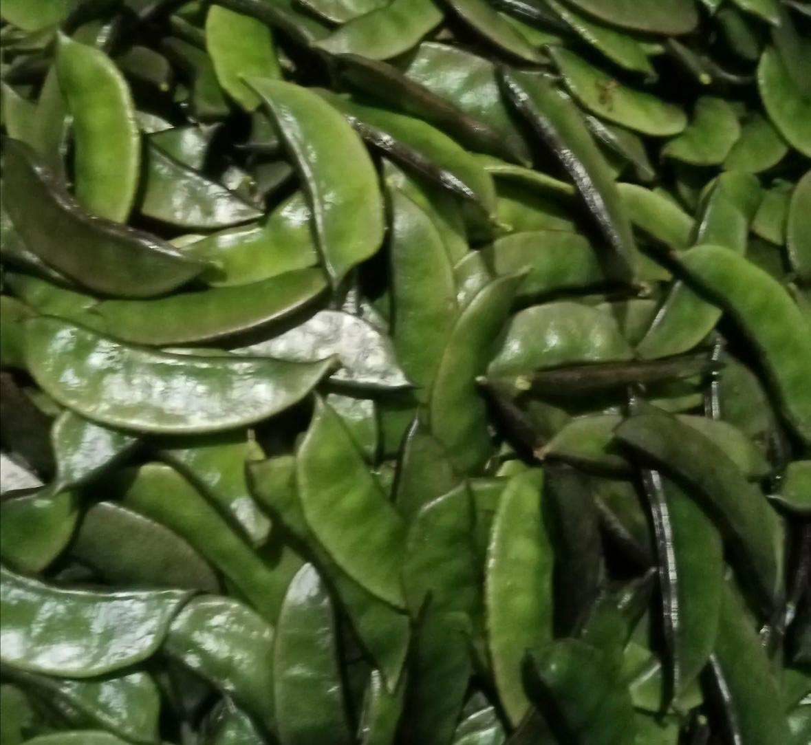 Country Beans
