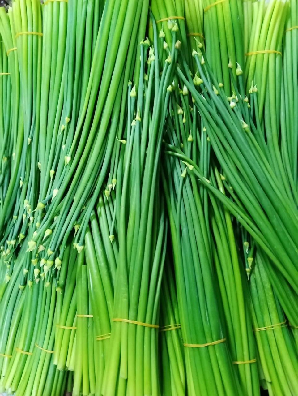 Onion Leaves