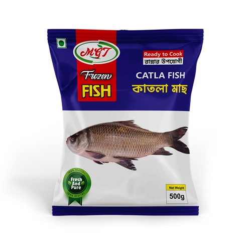 Catla Fish