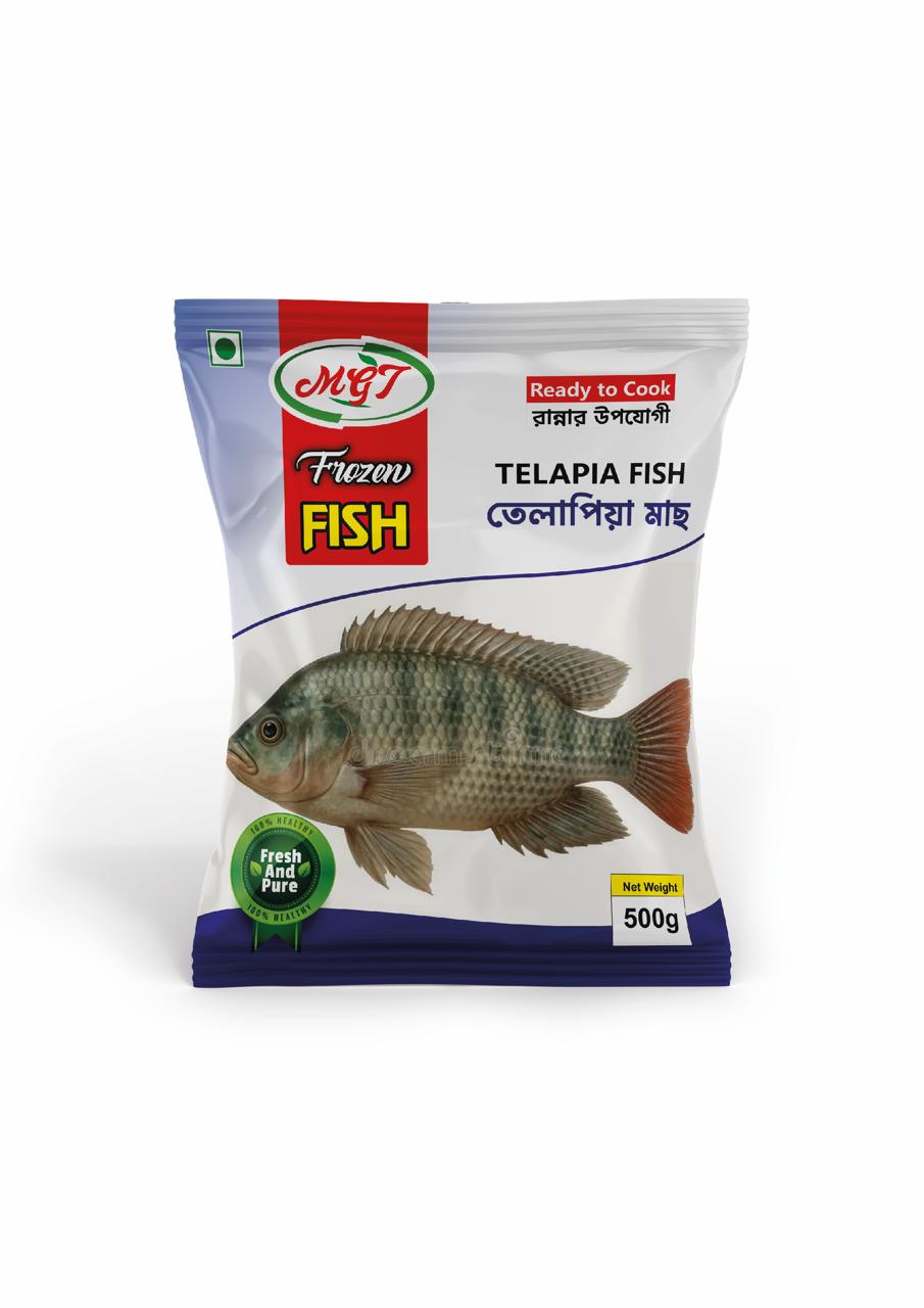 Tilapia Fish